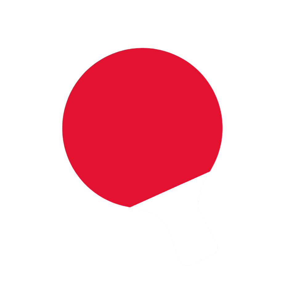 table tennis paddle specifying coaching